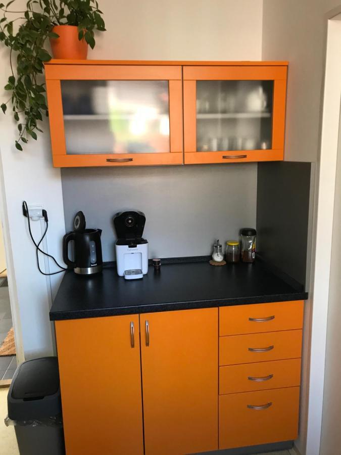 Apartment Corriger Usti nad Orlici Ngoại thất bức ảnh